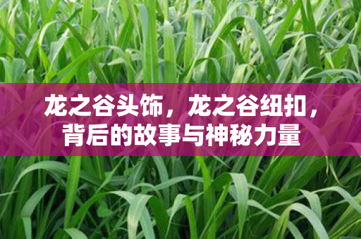 龙之谷头饰，龙之谷纽扣，背后的故事与神秘力量