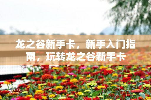 龙之谷新手卡，新手入门指南，玩转龙之谷新手卡