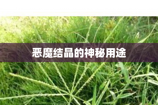 恶魔结晶的神秘用途