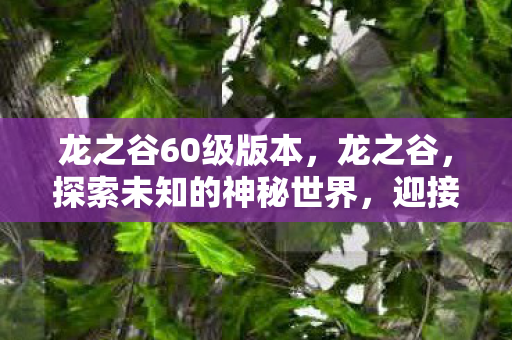 龙之谷60级版本，龙之谷，探索未知的神秘世界，迎接全新的冒险篇章—60级时代来临