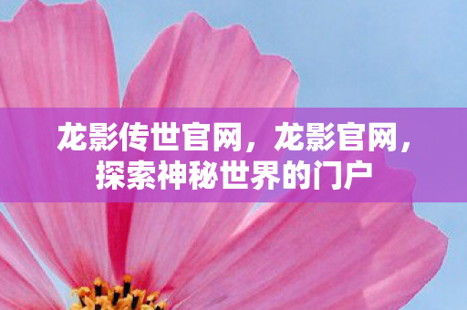 龙影传世官网,龙影官网,探索神秘世界的门户 龙影传世官网,龙影官网,探索神秘世界的门户