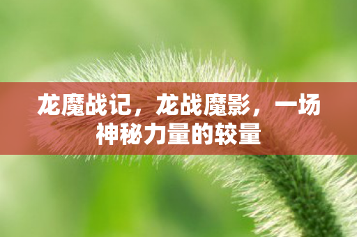 龙魔战记,龙战魔影,一场神秘力量的较量 龙魔战记,龙战魔影,一场神秘力量的较量