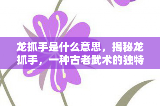 龙抓手是什么意思，揭秘龙抓手，一种古老武术的独特魅力与现代应用