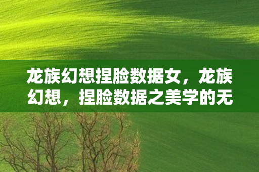 龙族幻想捏脸数据女，龙族幻想，捏脸数据之美学的无限可能