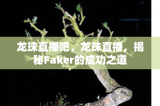 龙珠直播吧，龙珠直播，揭秘Faker的成功之道