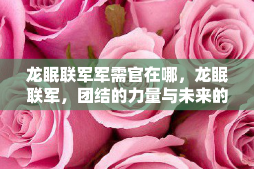 龙眠联军军需官在哪，龙眠联军，团结的力量与未来的挑战