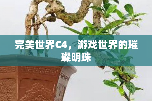 完美世界C4，游戏世界的璀璨明珠