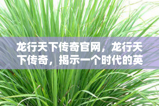 龙行天下传奇官网,龙行天下传奇,揭示一个时代的英雄崛起与传奇故事 龙行天下传奇官网,龙行天下传奇,揭示一个时代的英雄崛起与传奇故事
