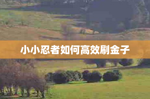 小小忍者如何高效刷金子