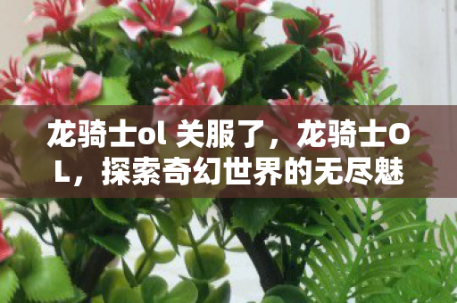 龙骑士ol 关服了，龙骑士OL，探索奇幻世界的无尽魅力