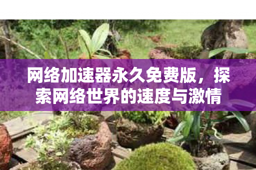网络加速器永久免费版,探索网络世界的速度与激情 网络加速器永久免费版,探索网络世界的速度与激情