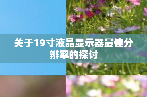 关于19寸液晶显示器最佳分辨率的探讨