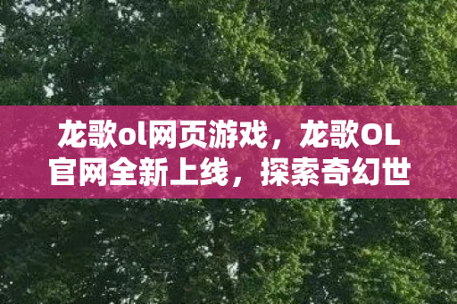 龙歌ol网页游戏，龙歌OL官网全新上线，探索奇幻世界的门户