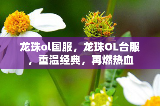 龙珠ol国服,龙珠OL台服,重温经典,再燃热血 龙珠ol国服,龙珠OL台服,重温经典,再燃热血