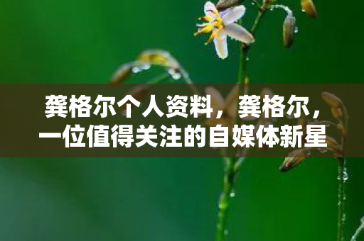 龚格尔个人资料，龚格尔，一位值得关注的自媒体新星