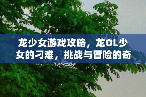 龙少女游戏攻略,龙OL少女的刁难,挑战与冒险的奇幻之旅 龙少女游戏攻略,龙OL少女的刁难,挑战与冒险的奇幻之旅