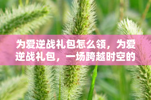 为爱逆战礼包怎么领，为爱逆战礼包，一场跨越时空的深情献礼