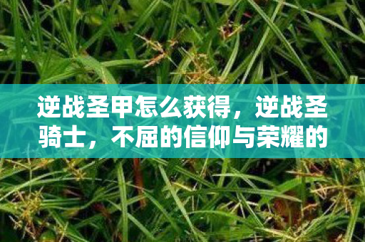 逆战圣甲怎么获得,逆战圣骑士,不屈的信仰与荣耀的战斗 逆战圣甲怎么获得,逆战圣骑士,不屈的信仰与荣耀的战斗