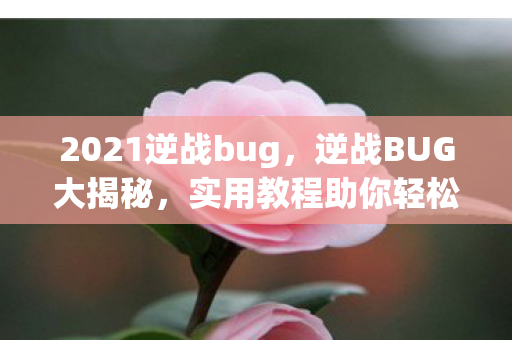 2021逆战bug,逆战BUG大揭秘,实用教程助你轻松掌握游戏技巧 2021逆战bug,逆战BUG大揭秘,实用教程助你轻松掌握游戏技巧