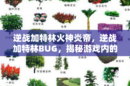 逆战加特林火神炎帝，逆战加特林BUG，揭秘游戏内的意外之喜