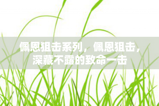 佩恩狙击系列,佩恩狙击,深藏不露的致命一击 佩恩狙击系列,佩恩狙击,深藏不露的致命一击