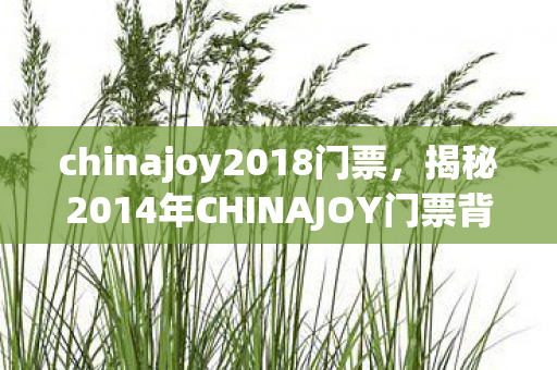 chinajoy2018门票，揭秘2014年CHINAJOY门票背后的故事
