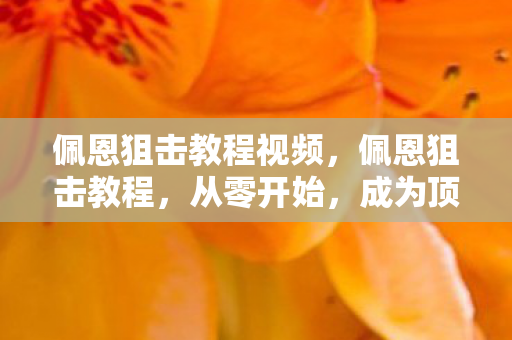 佩恩狙击教程视频,佩恩狙击教程,从零开始,成为顶尖狙击手 佩恩狙击教程视频,佩恩狙击教程,从零开始,成为顶尖狙击手