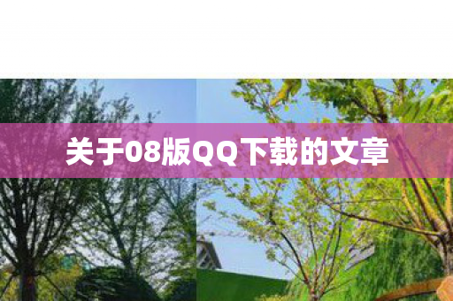 关于08版QQ下载的文章