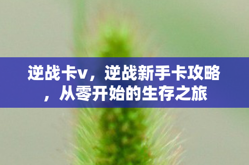 逆战卡v，逆战新手卡攻略，从零开始的生存之旅