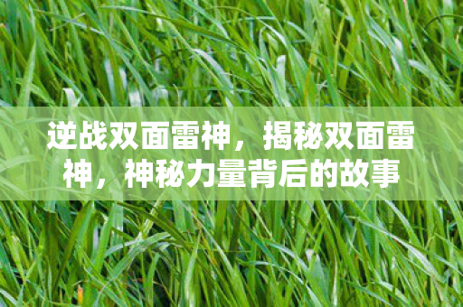 逆战双面雷神，揭秘双面雷神，神秘力量背后的故事
