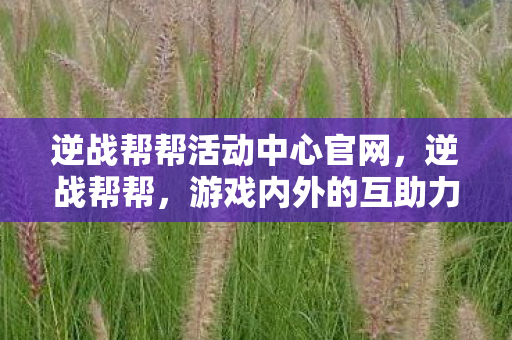 逆战帮帮活动中心官网，逆战帮帮，游戏内外的互助力量