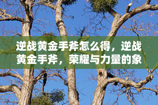 逆战黄金手斧怎么得，逆战黄金手斧，荣耀与力量的象征