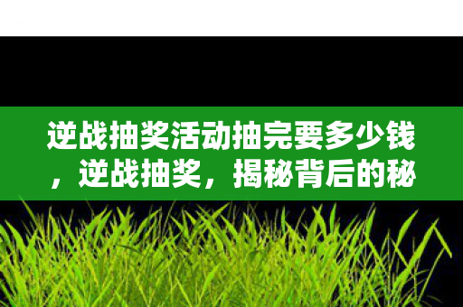 逆战抽奖活动抽完要多少钱，逆战抽奖，揭秘背后的秘密与策略
