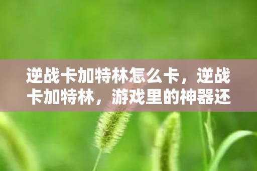 逆战卡加特林怎么卡，逆战卡加特林，游戏里的神器还是陷阱？