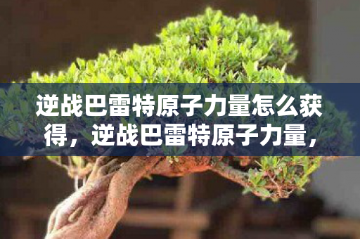 逆战巴雷特原子力量怎么获得，逆战巴雷特原子力量，揭秘其背后的故事与独特魅力