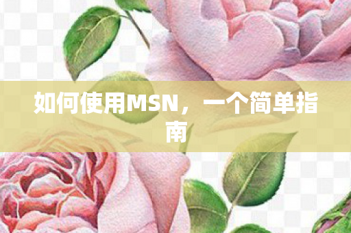 如何使用MSN,一个简单指南 如何使用MSN,一个简单指南