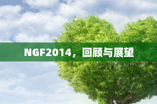 NGF2014,回顾与展望 NGF2014,回顾与展望