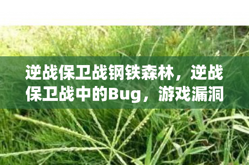 逆战保卫战钢铁森林，逆战保卫战中的Bug，游戏漏洞与应对策略