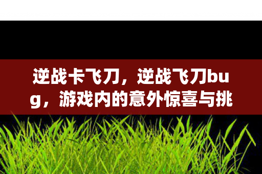 逆战卡飞刀，逆战飞刀bug，游戏内的意外惊喜与挑战