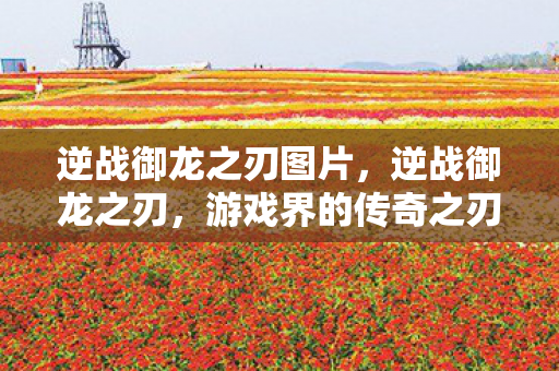 逆战御龙之刃图片,逆战御龙之刃,游戏界的传奇之刃 逆战御龙之刃图片,逆战御龙之刃,游戏界的传奇之刃
