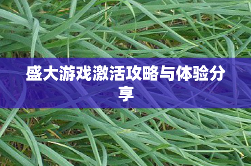 盛大游戏激活攻略与体验分享 盛大游戏激活攻略与体验分享