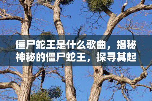 僵尸蛇王是什么歌曲，揭秘神秘的僵尸蛇王，探寻其起源、特性与生存之道