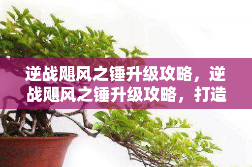 逆战飓风之锤升级攻略，逆战飓风之锤升级攻略，打造全新强力武器！