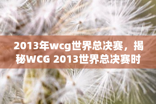 2013年wcg世界总决赛，揭秘WCG 2013世界总决赛时间背后的故事