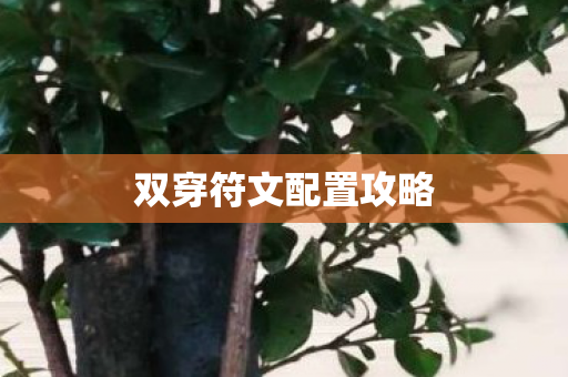 双穿符文配置攻略 双穿符文配置攻略
