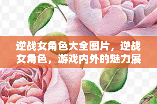 逆战女角色大全图片，逆战女角色，游戏内外的魅力展现