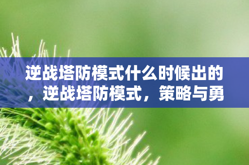 逆战塔防模式什么时候出的，逆战塔防模式，策略与勇气的完美结合