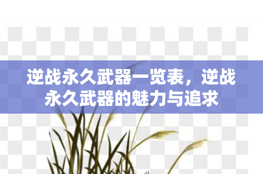 逆战永久武器一览表，逆战永久武器的魅力与追求