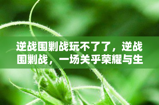 逆战围剿战玩不了了，逆战围剿战，一场关乎荣耀与生存的较量