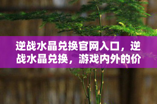 逆战水晶兑换官网入口，逆战水晶兑换，游戏内外的价值交换
